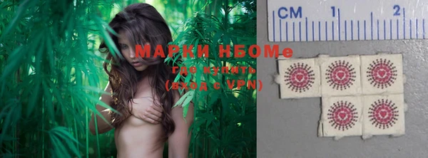 таблы Гусев