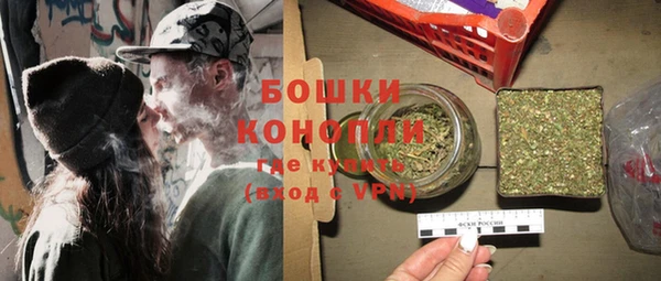 ешки Гусь-Хрустальный