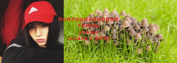 гидропоника Горнозаводск