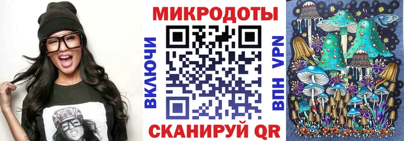 omg наркотики Волгореченск Галлюциногенные грибы Psilocybine cubensis